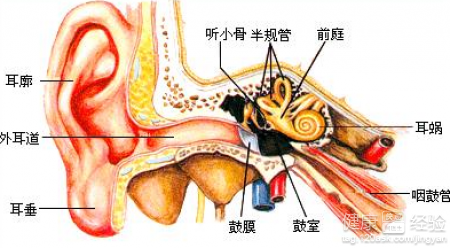 如果有唇腭裂的小孩耳朵中耳炎流膿怎麼治療