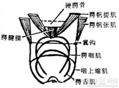 第1步