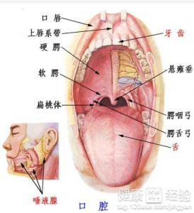 口腔潰瘍是白塞氏病的預警信號