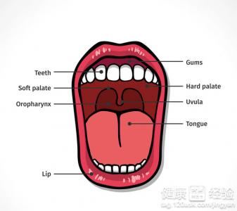 口腔潰瘍的三種治療方法