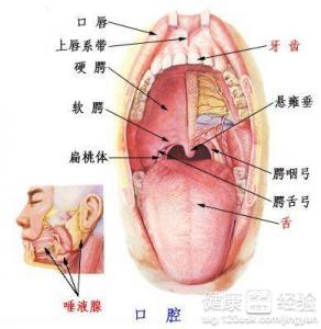 第1步