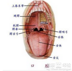 第1步