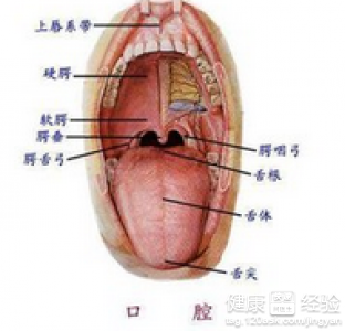 夏季吃西瓜的3個注意事項口腔潰瘍者不要吃