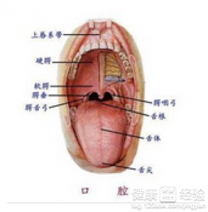 第1步