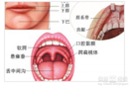 第2步