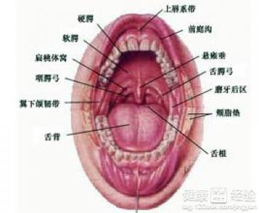 治療口腔潰瘍的好方法