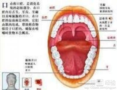 口腔潰瘍的快速治療