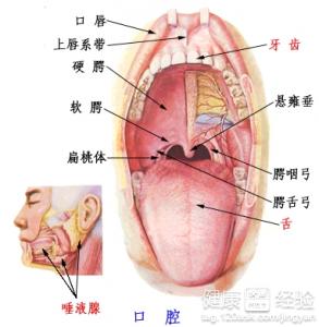 第1步