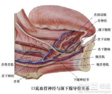 我們應該如何護理口腔衛生？