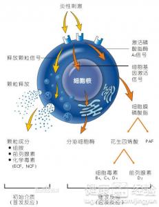 口腔潰瘍應該怎麼預防？