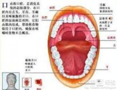 口腔潰瘍如何治療？