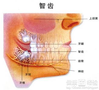 第1步