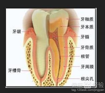 補牙後要注意什麼問題