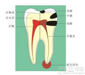 孩子兩歲了可以刷牙了嗎