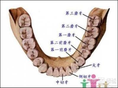 第1步