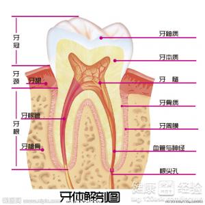 第1步