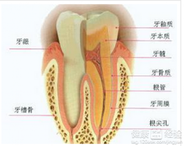 樹脂修復牙齒多少錢