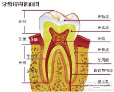 關於牙周炎牙龈萎縮的治療方法