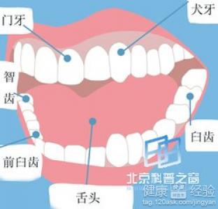 骨性龅牙可以矯正嗎