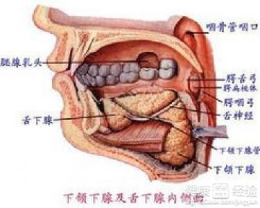 如果眶下間隙感染怎麼辦