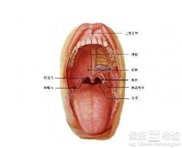 口臭吃什麼藥好