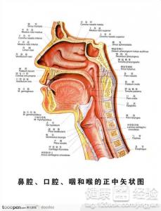 第1步