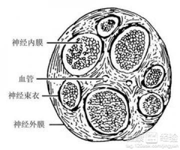 挫傷怎麼辦