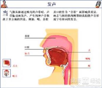 嗓子啞了怎麼辦呢。