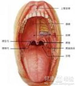 第1步