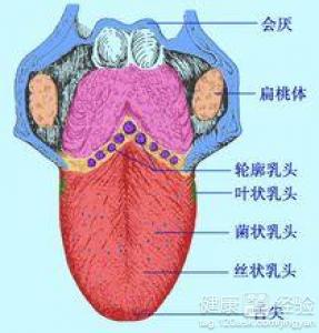 霉菌性舌炎是什麼症狀，如何治療