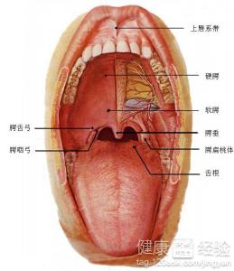 舌頭麻痺，舌炎怎麼醫治