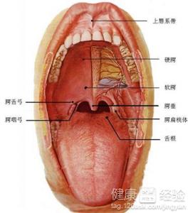 舌炎怎麼治療吃什麼藥呢