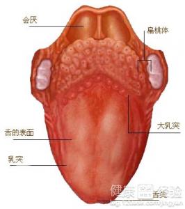 舌炎吃點什麼藥就可以早愈