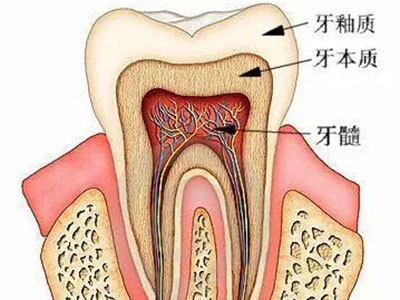 為什麼牙痛那麼痛？