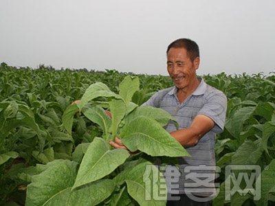 口腔病高發的6大地區