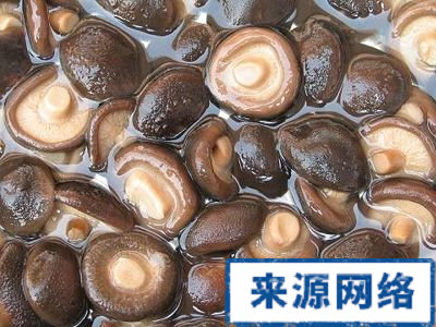 齲齒 預防齲齒 香菇 食用香菇預防齲齒 牙病 如何預防齲齒