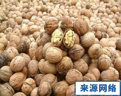 牙周炎治療方法 牙周炎怎麼治療 牙周炎吃什麼好